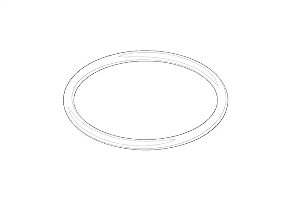 DORNBRACHT O-Ring ERSATZTEILE 091410098 22,0 x 1,6 mm, 09141009890 Galeriebild 1